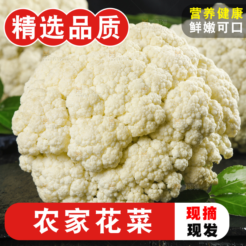 黑底上的山东新鲜白菜花