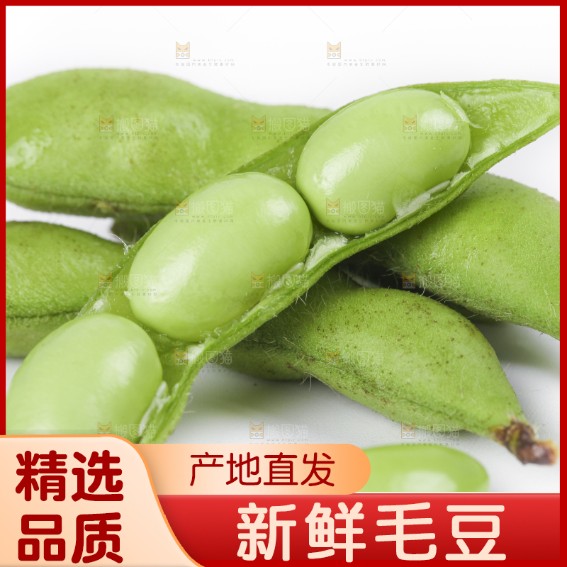 白底上放着四川新鲜毛豆