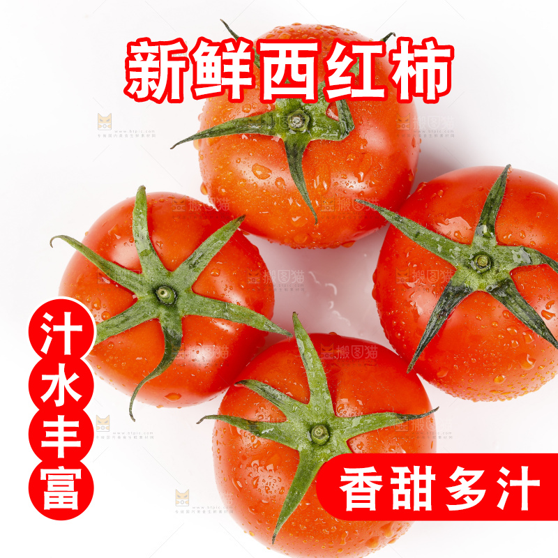 白底上的西红柿