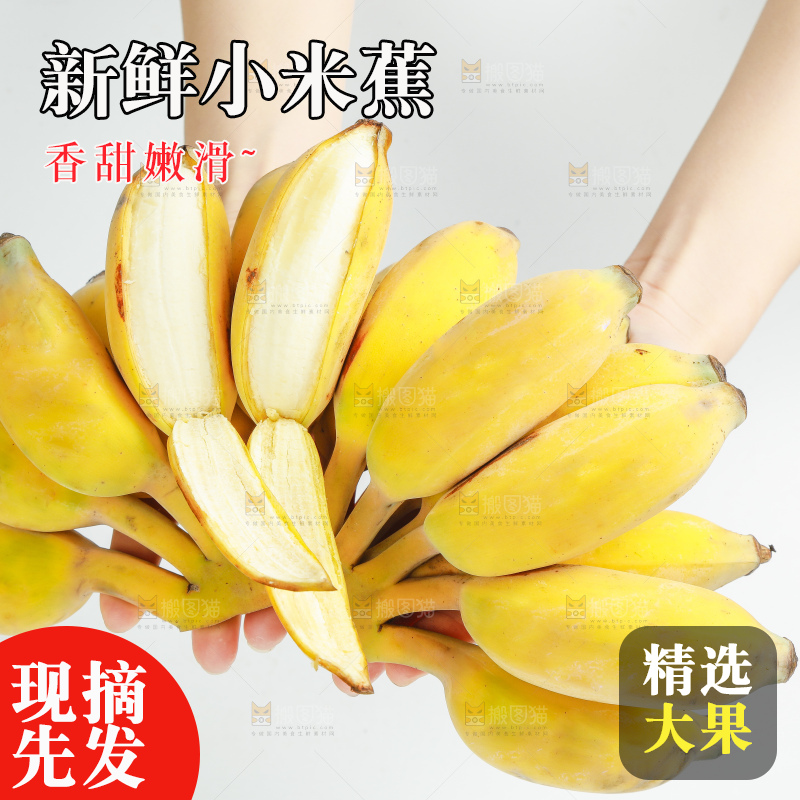 手拿着一串广西苹果蕉