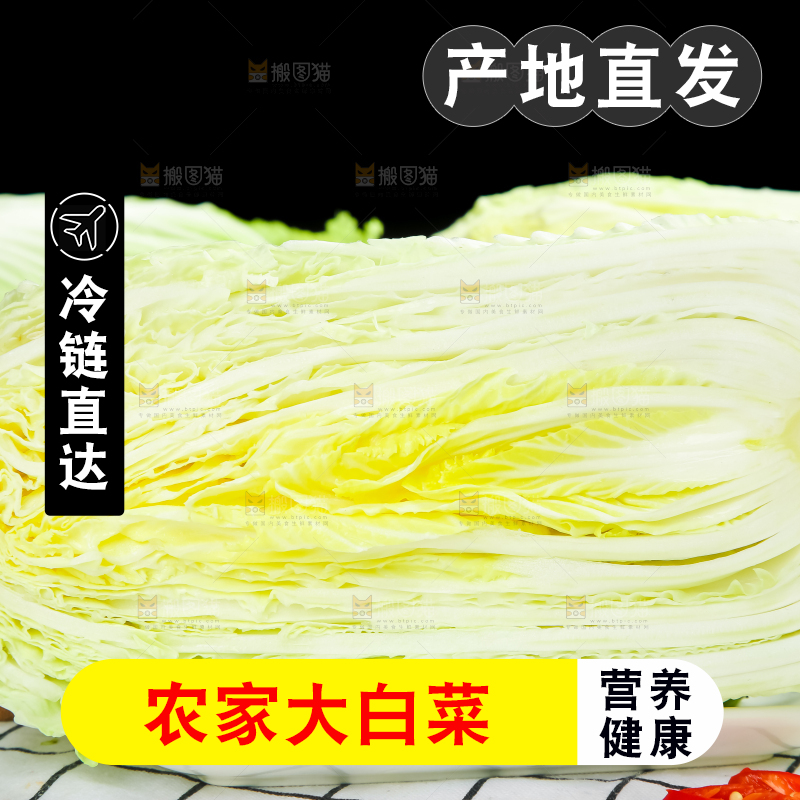 格子底上放着大白菜