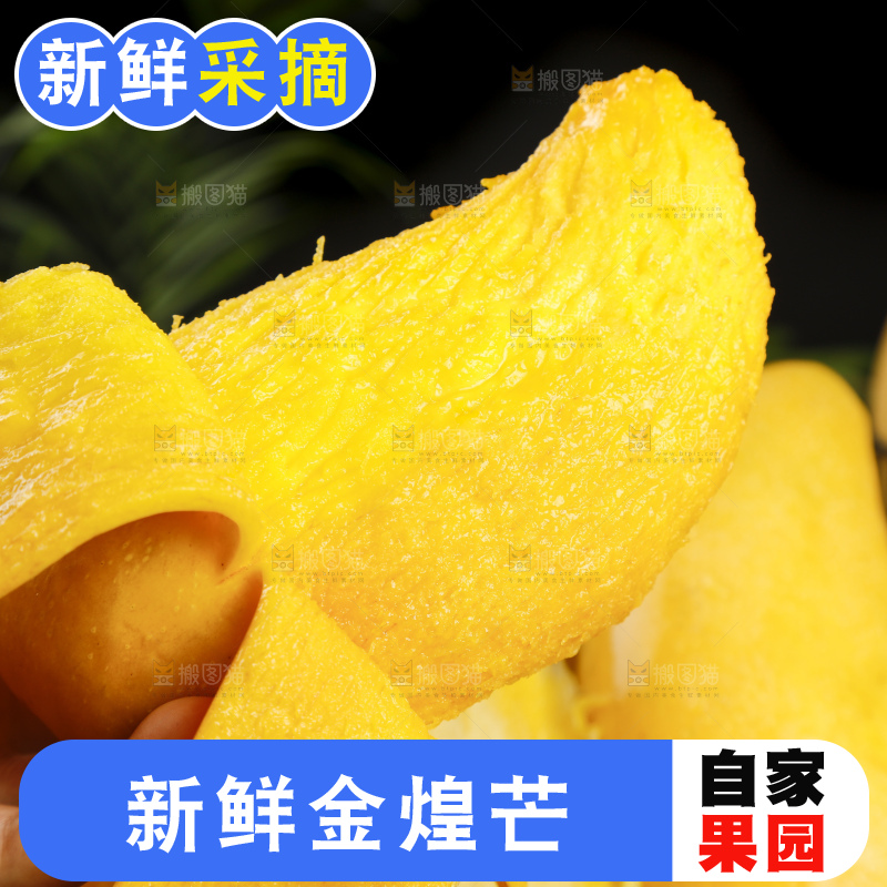 手拿剥皮的海南金煌芒