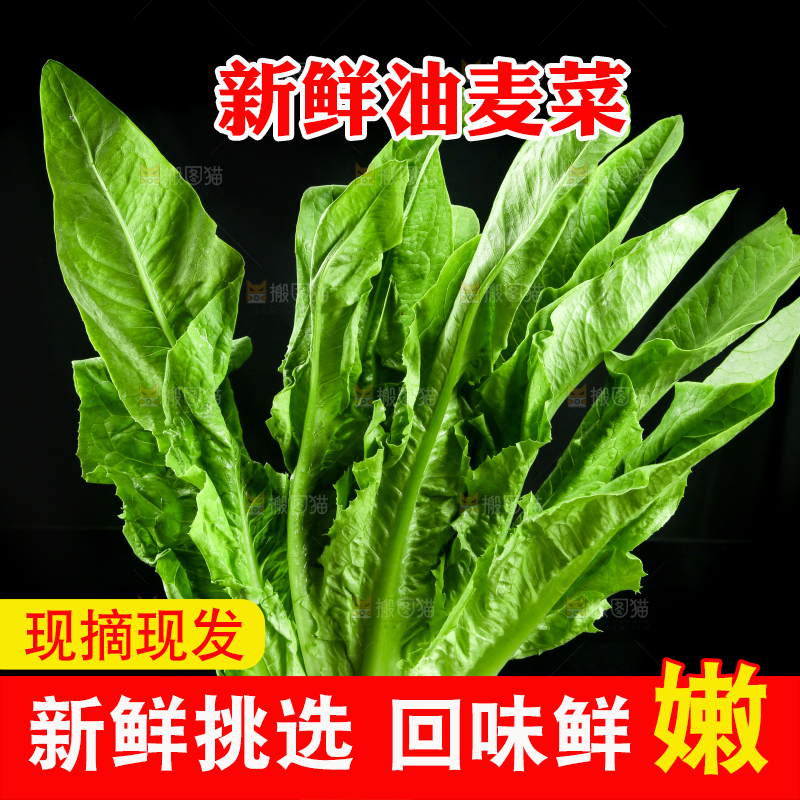 黑底上的油麦菜