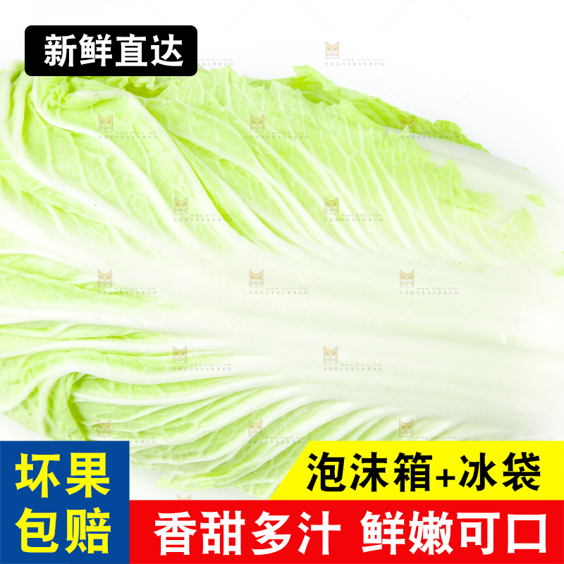 白底上放着大白菜