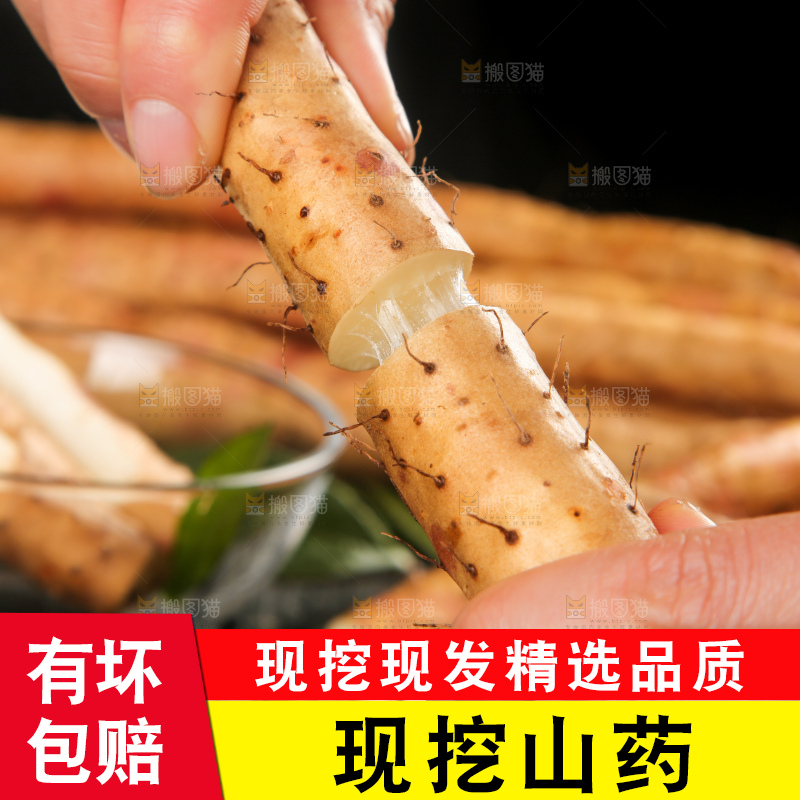 手里拿着白山药