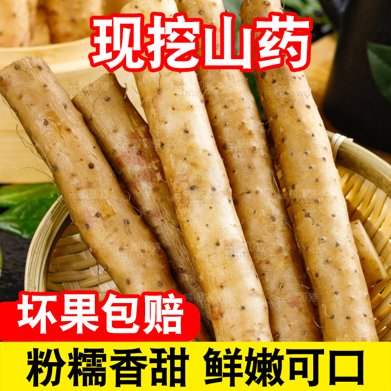 黑底上放着铁杆山药