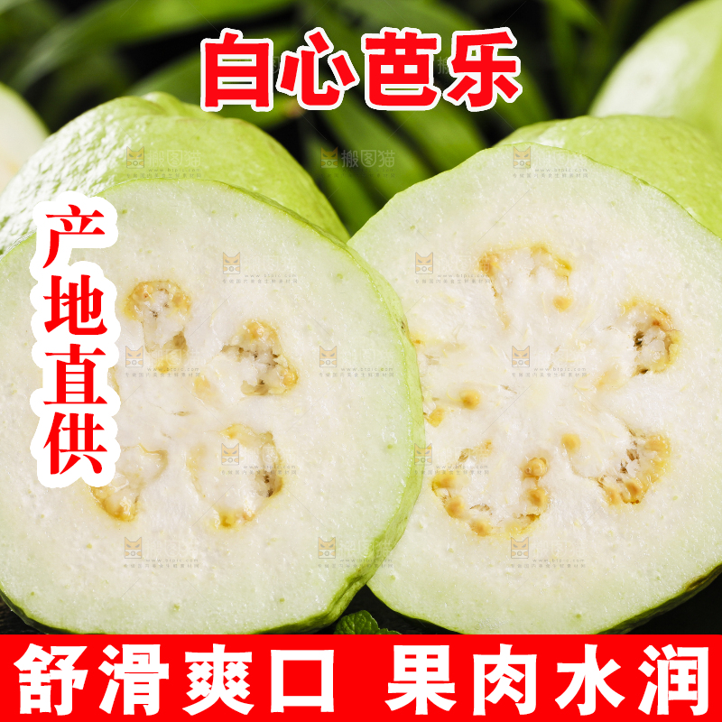 黑石底上放着白心芭乐