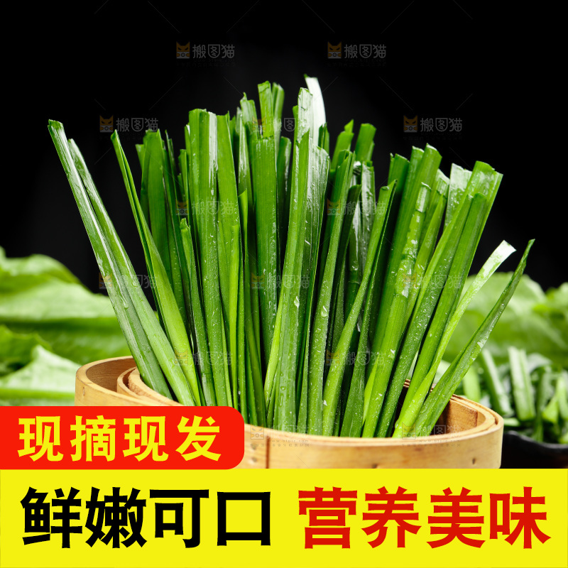 黑石板上的韭菜