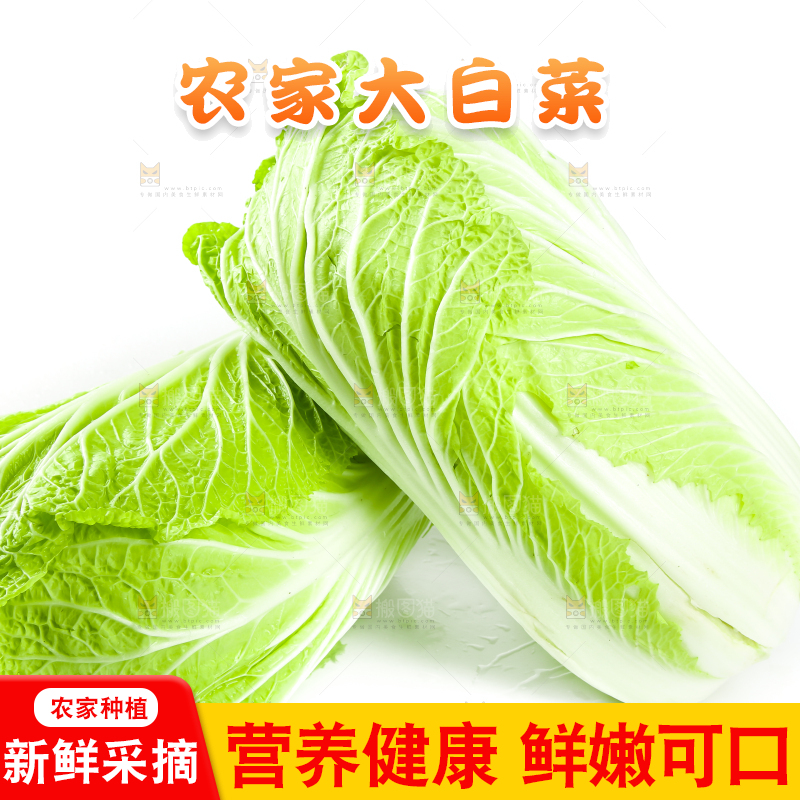 白底上的有机大白菜