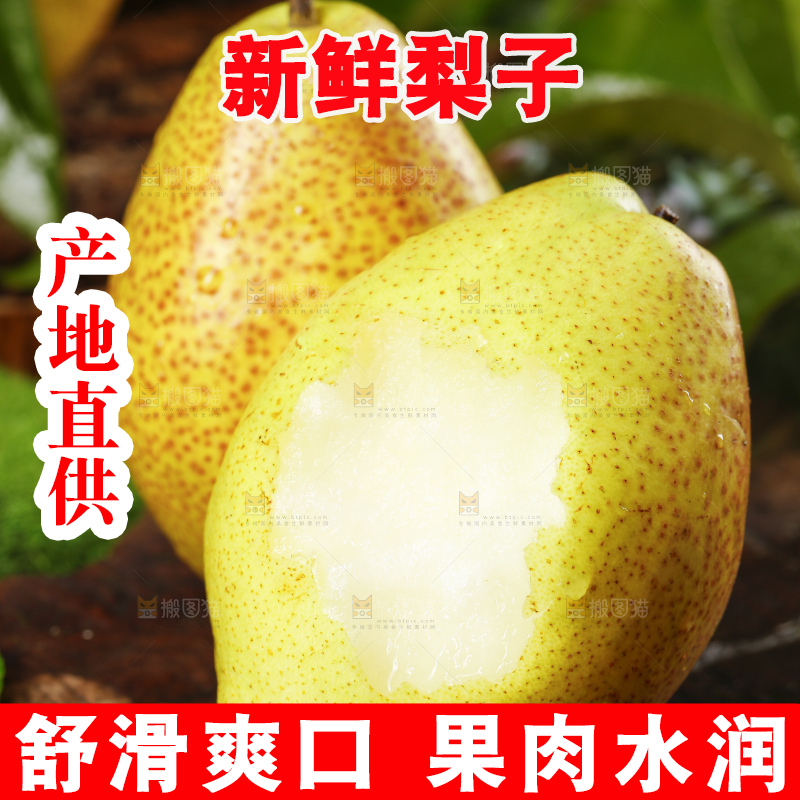 木底上放着陕西红香酥梨