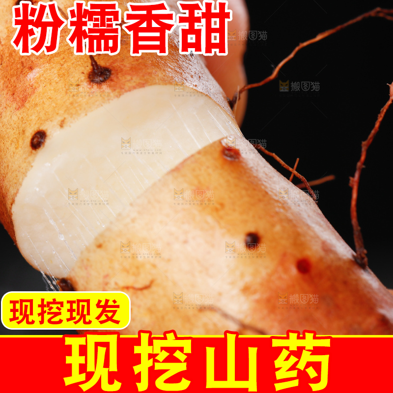 手里拿着小白嘴山药