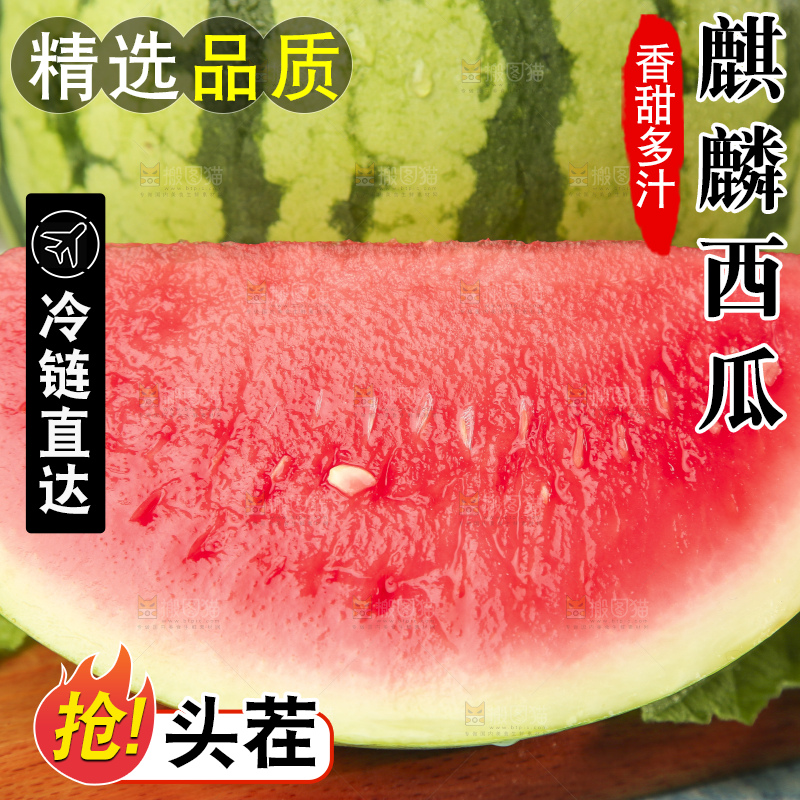 蓝底上放着新鲜麒麟西瓜