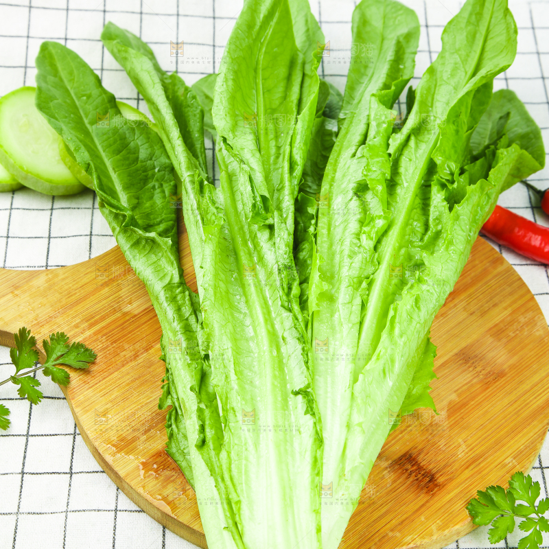 格子底上放着油麦菜
