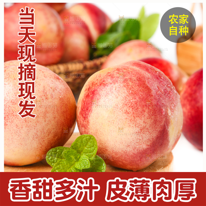 浅底上放着智利进口油桃