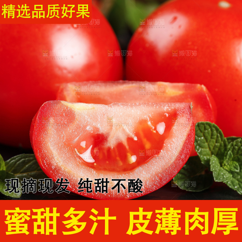 黑底上放着普罗旺斯西红柿