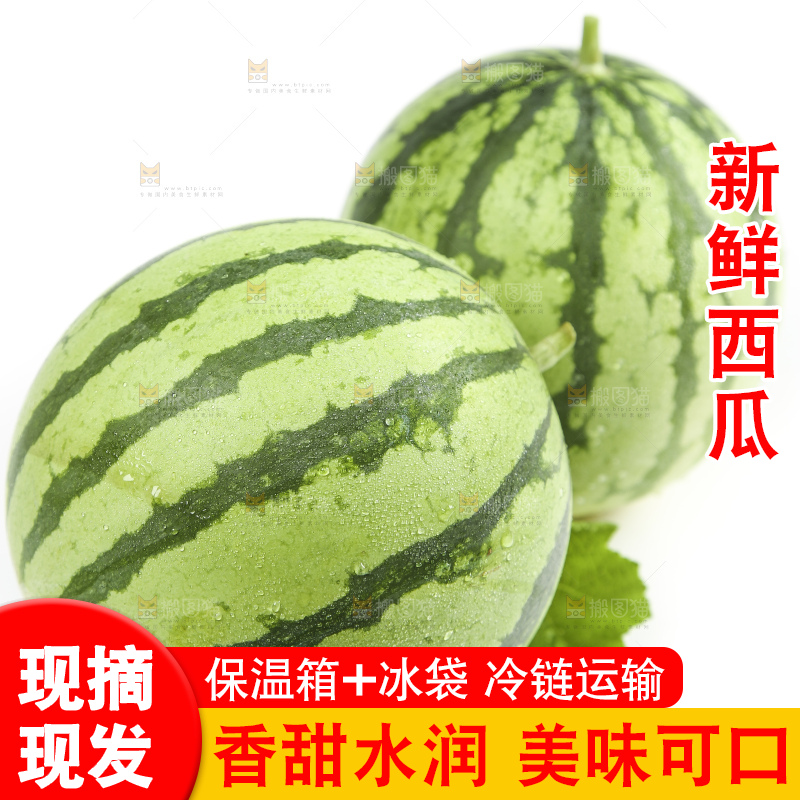 白底上放着新鲜西瓜