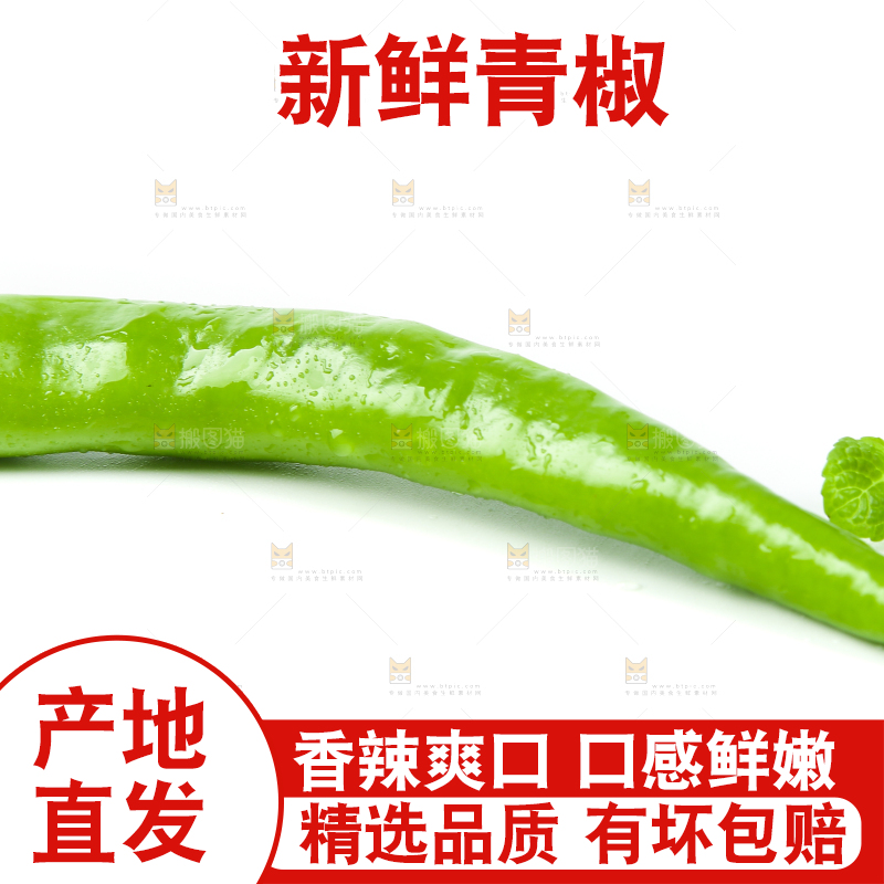 白底上放着杭椒
