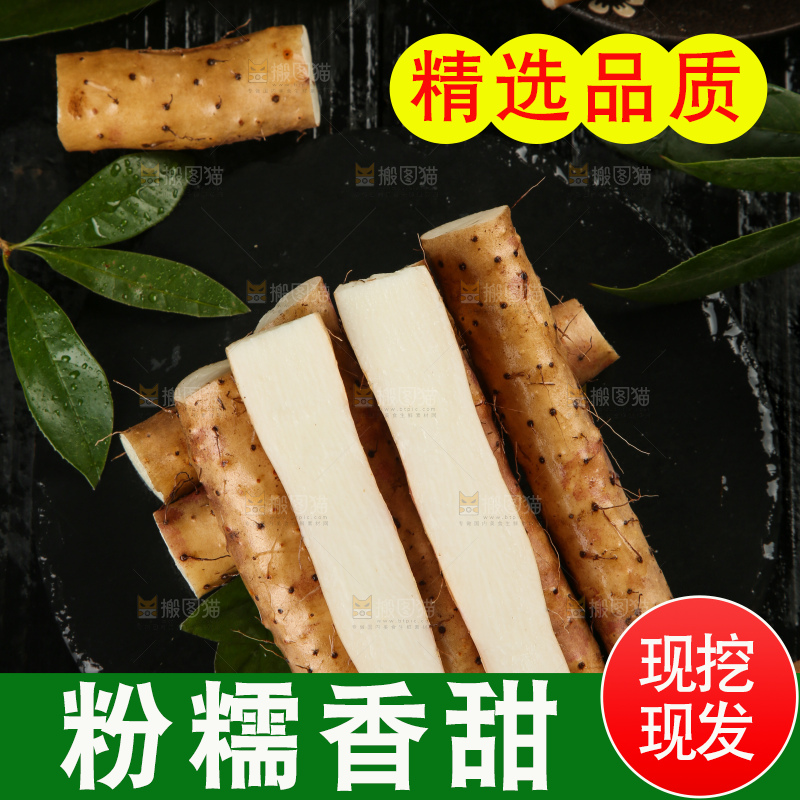 深底上的小白嘴山药