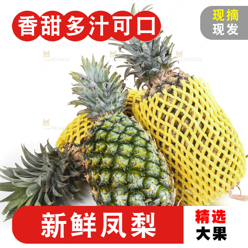 白底上的新鲜凤梨