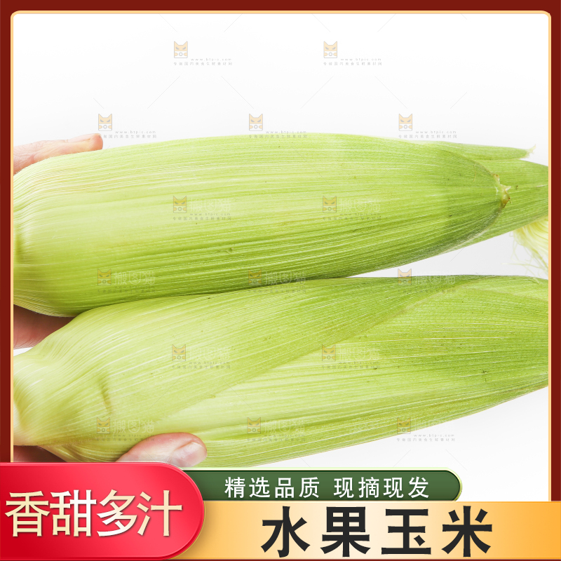 双手里拿着东北甜玉米