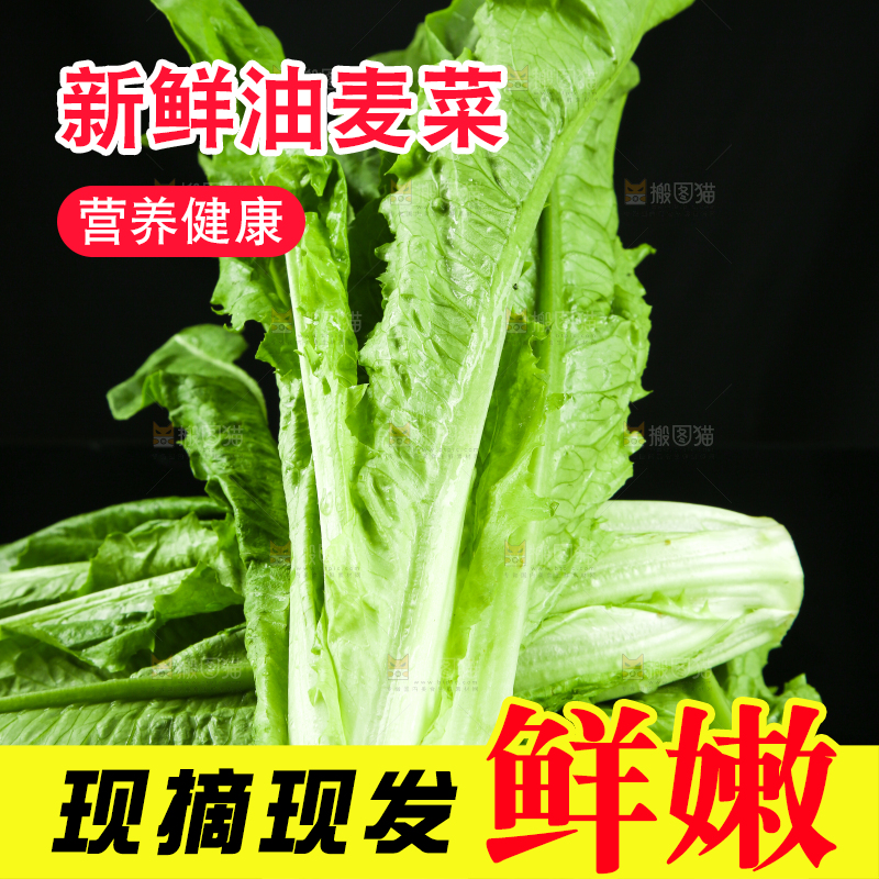 黑底上摆放着油麦菜