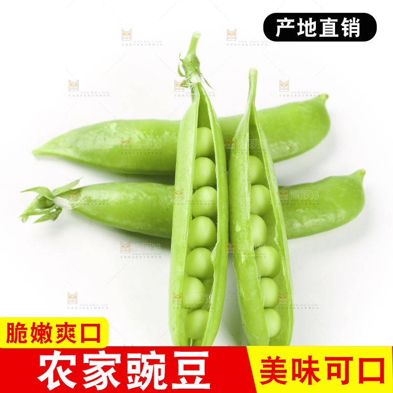 白底上的豌豆荚