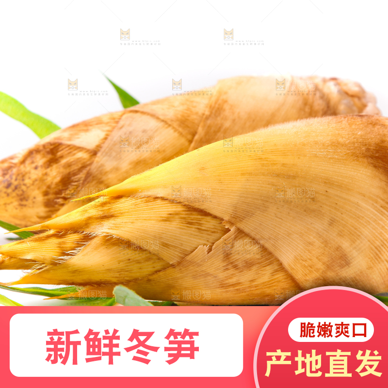 白底上摆放着冬笋