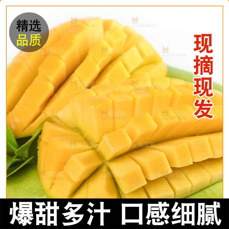 云南新鲜大青芒放在白底上