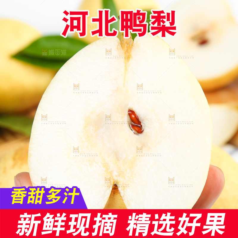 格子底上摆放着新鲜鸭梨
