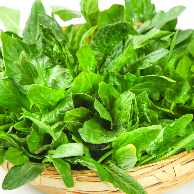 篮子里放着菠菜