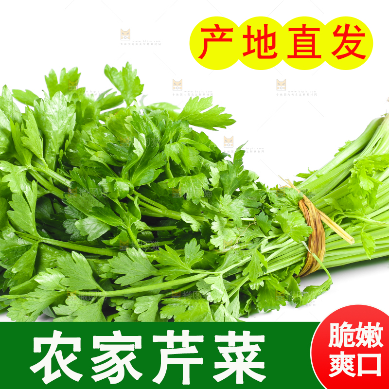 白底上堆放着香芹