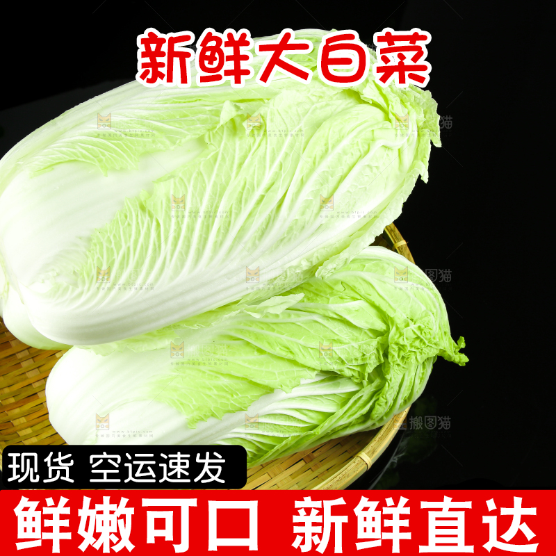 黑底上的黄心大白菜