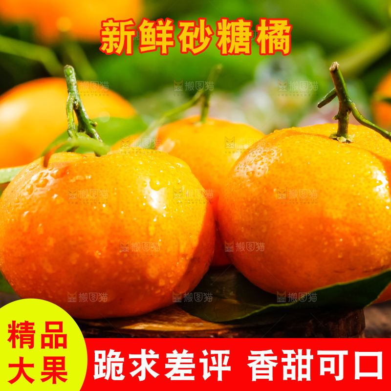 木底上放着新鲜的沙糖桔
