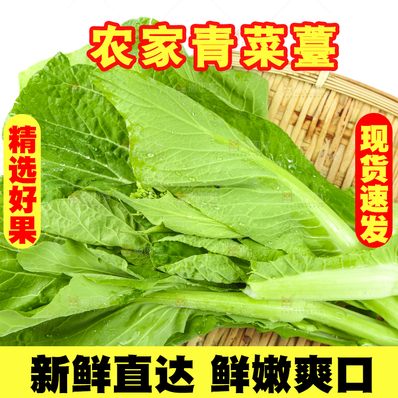 篮子里的绿菜心