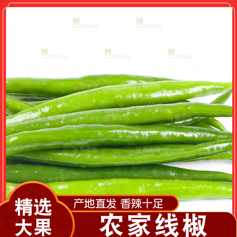 白底上放着线椒