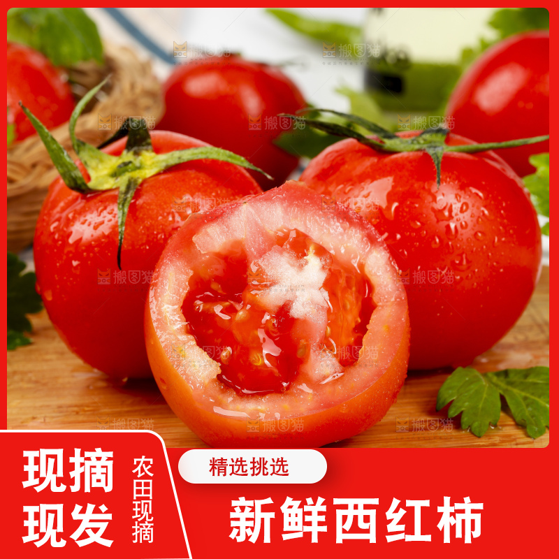 木底上堆放的西红柿