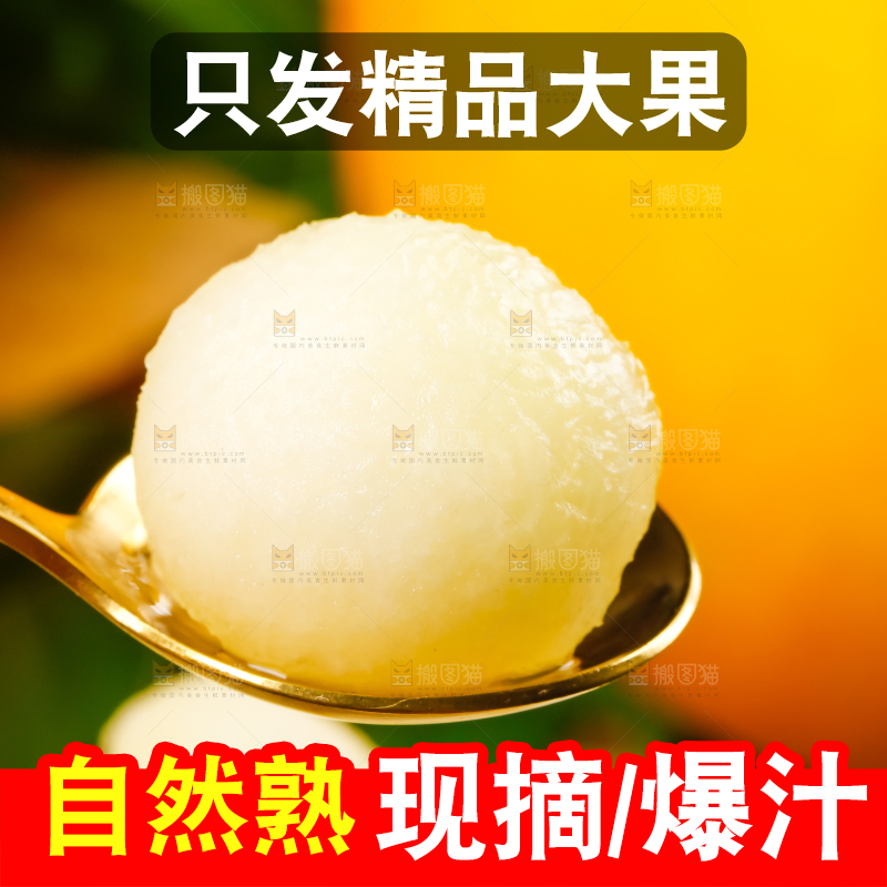 勺子里放着黄河蜜瓜果肉