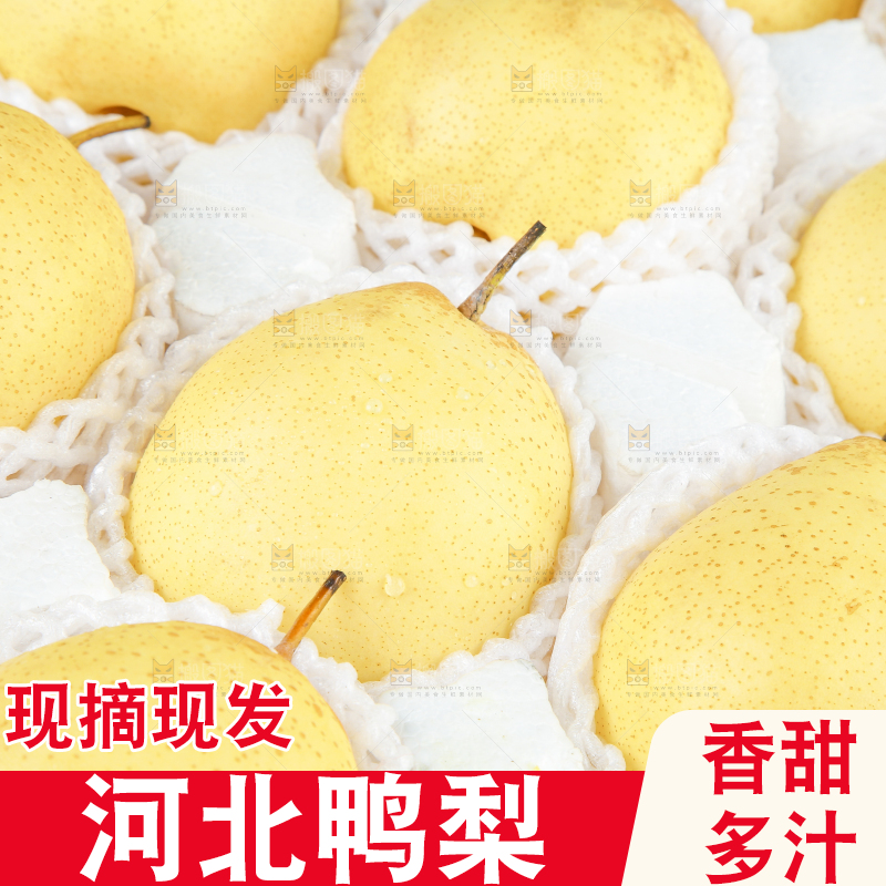 白底上摆放着鸭嘴梨