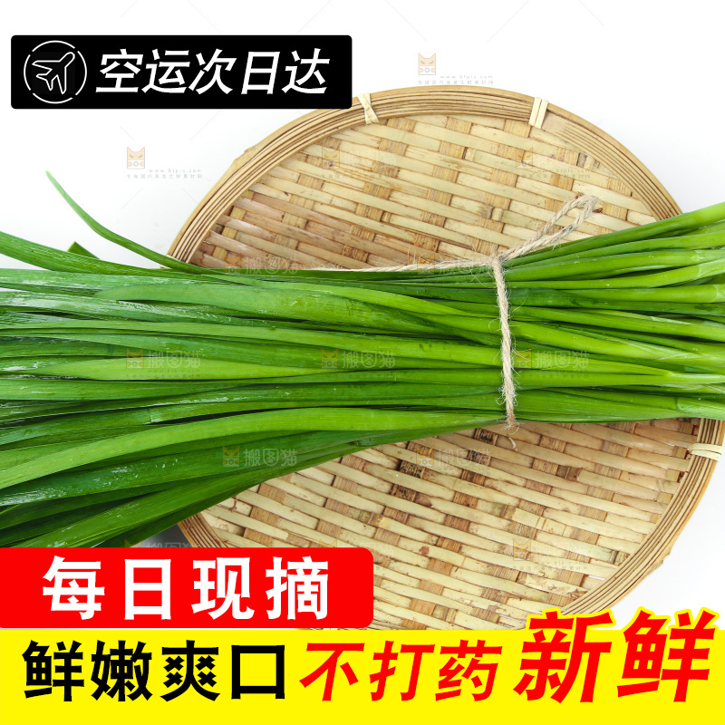 篮子里堆放着韭菜
