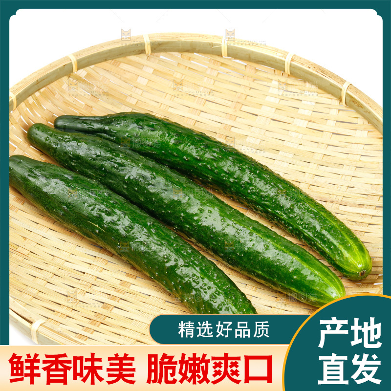 白底上放着黄瓜