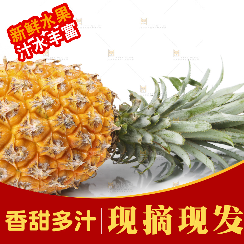 白底上的新鲜菠萝