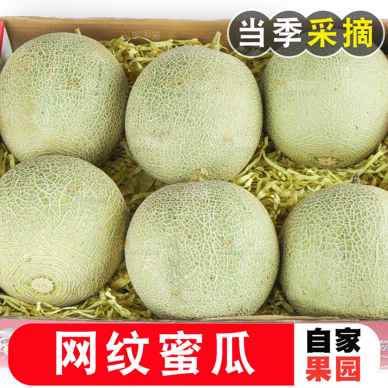 手拿一箱玫珑网纹蜜瓜