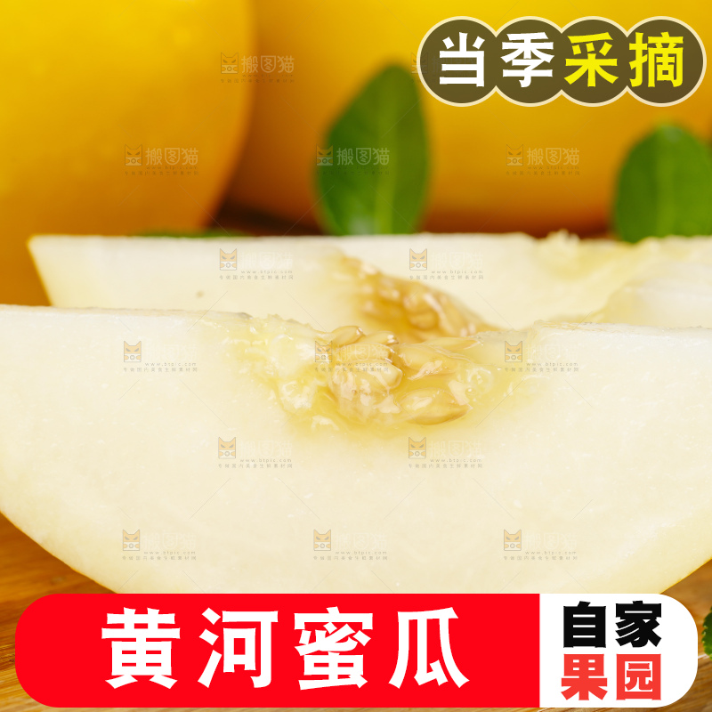木板上放着切开的陕西黄河蜜瓜