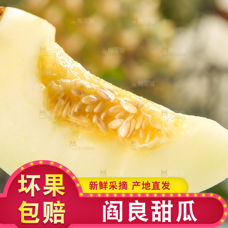 叉子插着阎良甜瓜的果肉