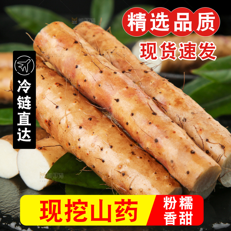 深底上的小白嘴山药