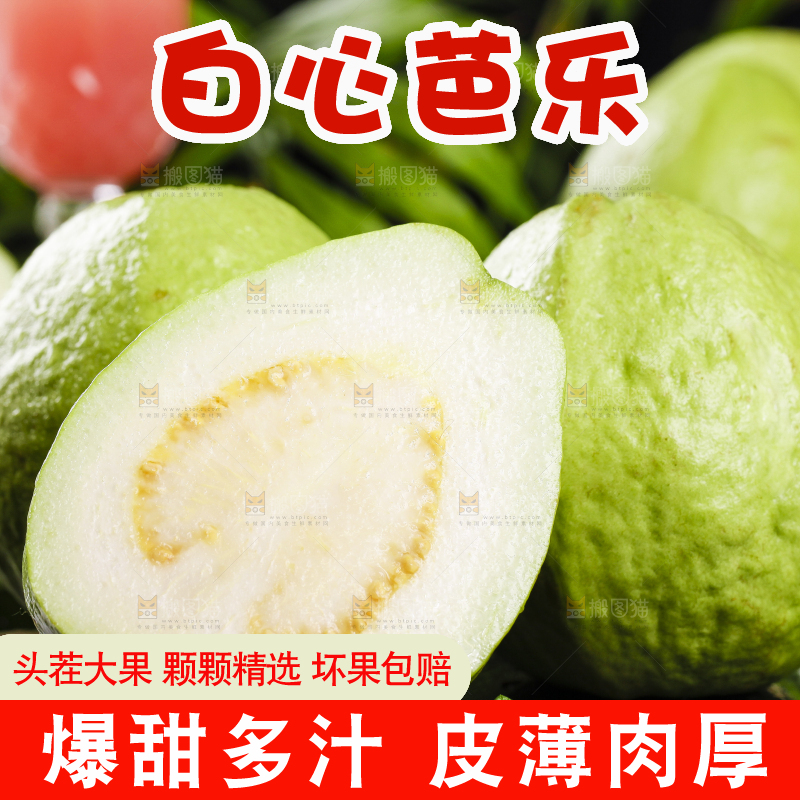 一堆新鲜的广西白心芭乐