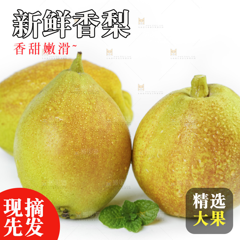 新鲜香梨放在白底上