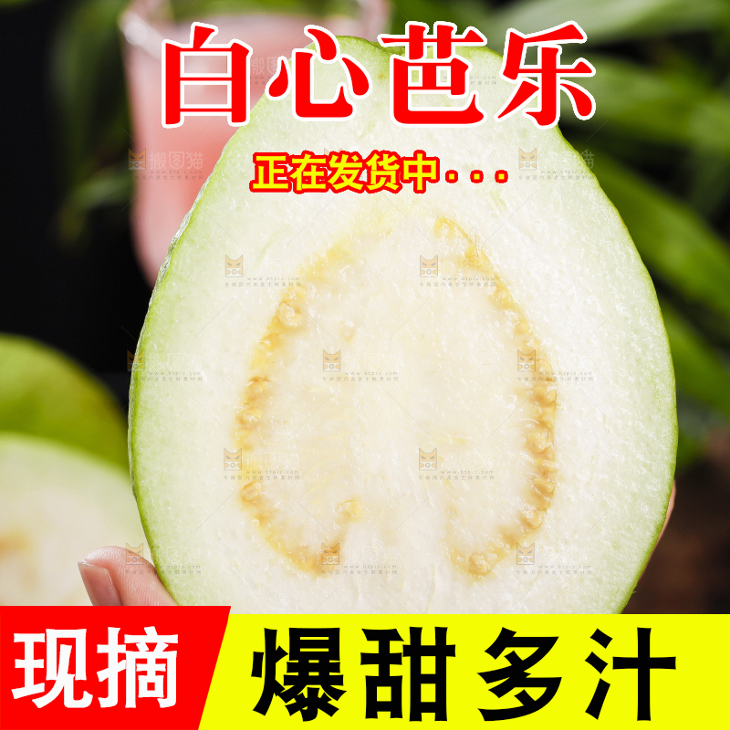 手里拿着广西白心芭乐