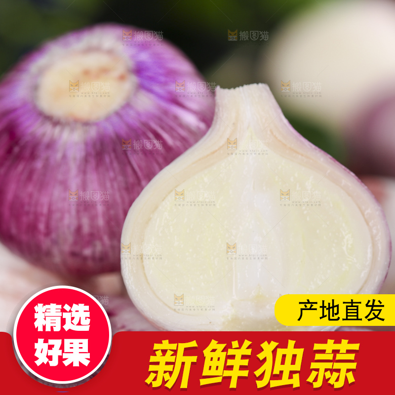 黑底上放着云南紫皮独头蒜