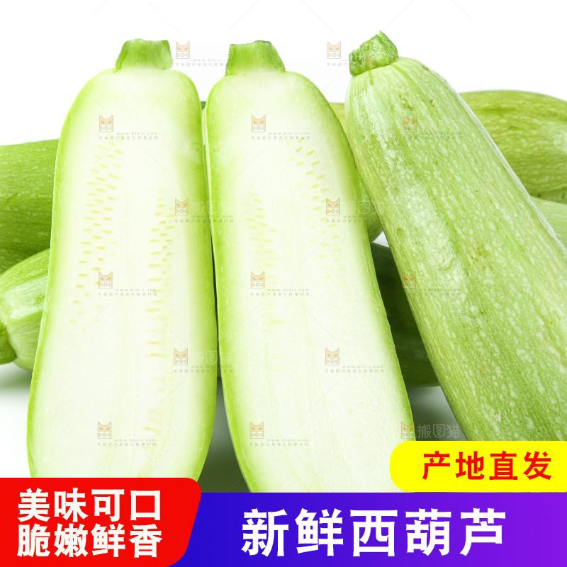 白底上摆放着茭瓜